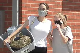 朱莉真节俭，白色素T穿几年，一对拖鞋穿整个夏天，无畏皮特恋情图片