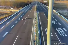 男子高速违停移除障碍物 交警表示不处罚不提倡图片