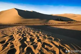 100元骑骆驼体验一圈鸣沙山，上千头骆驼挤骆驼会是怎样的风景图片