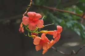 散文：走进秋天，抵达人生的中年图片