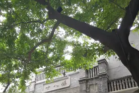 庆长假游哪里 重庆打卡十八梯图片