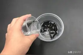 “蚊香”放水里泡一泡，睡觉没蚊子吵！图片