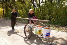农民大叔制造运输神器木架车，轻巧方便用过30年，啥样子图片