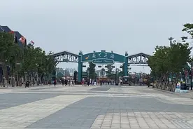 盐城大丰荷兰花海游图片
