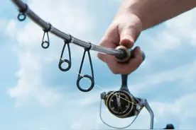 细节决定成败：路亚竿导环你了解多少？图片