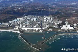 日本出现十万头变异野猪，科学家提出大胆设想：核辐射将危及全球图片