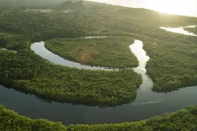 亚马逊河到底有多可怕？为什么连当地人都不敢在里面游泳？图片