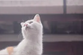 爱情里总是有一物降一物的神奇定律吗？图片