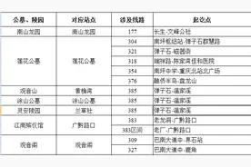 重庆加强66条公交线路运营组织 满足清明假期出行需求图片