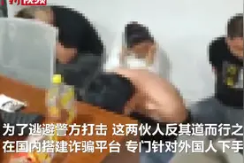 如此“上进”？骗子学英语仿作息专骗外国人图片