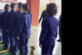 狗狗乖乖坐好跟随消防员排队图片