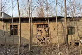 “哥哥，我做到了!”图片