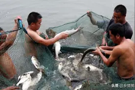 在农村，农田可以用来挖鱼塘搞水产养殖吗图片