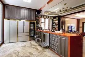 没有全球背书就不叫国际高端？卡萨帝：迄今已获得100+国际大奖图片