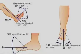 踝关节的构造及扭伤机制图片