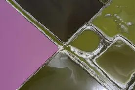 运城，在转型发展蹚新路中奋勇争先图片