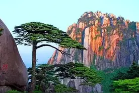 世界上最伟大的物理学家之一，杨振宁先生，迎来百岁寿辰图片