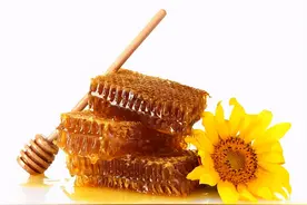 天然蜂蜜你选对了吗？让甘甜可口的蜂巢蜜，为你带来味蕾享受吧图片