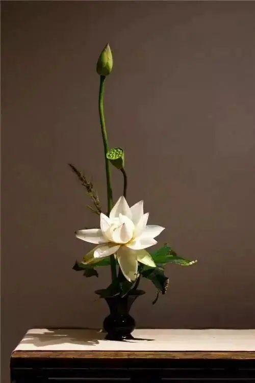 中国花道的特点有哪些呢,如何看懂东方插花艺术?