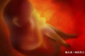 姐姐在腹中被弟弟“吸收”，化成爱的“印记”，陪伴弟弟一生图片