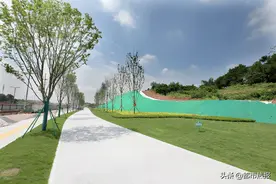 以人为本的科学大道长啥样？一条兼顾交通、形象、绿色与智慧的路段已初具雏形图片