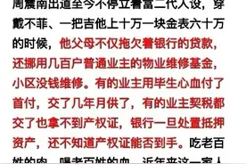 周震南父母欠债12.3亿，老赖行为毁掉成百上千个家庭，儿子却戴60万金表被称“富二代”图片