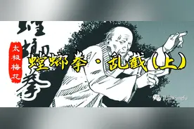 太极梅花螳螂拳·乱截（上）图片