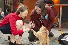 火遍全球的传奇“猫王子”橘猫去世，网友哭泣：不想让它离开图片