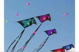 RAZ分级绘本读物《Go fly a kite》图片