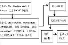 巨噬细胞可调节骨稳态并促进红细胞生成：问题与前景图片
