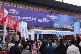 河南近半家庭有私家车，但九成私家车不足20万元图片