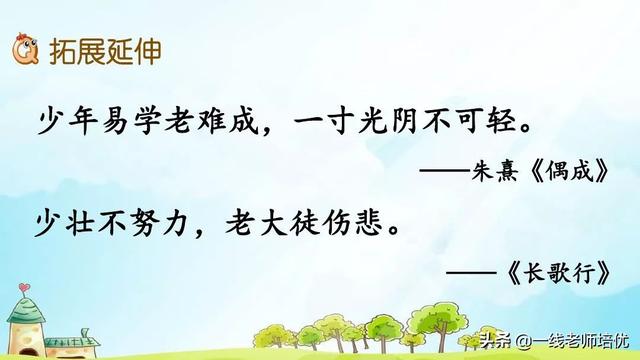 统版六年级上册第15课《夏天里的成长》重点知识点+课件