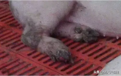 鍙ｈ箘鐤厤鐤け璐ワ紝闂鍑哄湪浜嗗摢閲岋紵鍋氬嚑娆℃墠濂斤紵