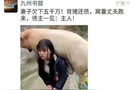 吴亦凡重生归来，战神：我好不容易归来，就给我住狗窝？图片