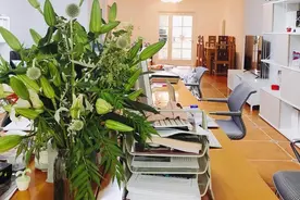 纸媒的没落——兼说我和纸媒的情缘图片