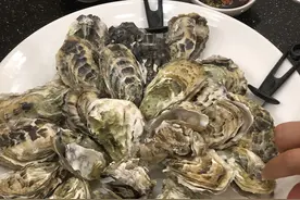 寻味武汉：低调不起眼的粤菜馆子，却是江城粤菜的友谊之光图片