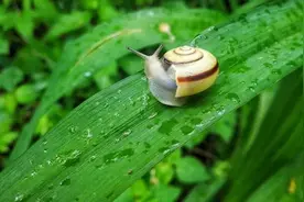 能被抢走的都是垃圾 | 一次不忠百次不用图片