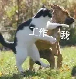 外地社保怎么转入成都？个人或公司购买的社保要满足这些条件