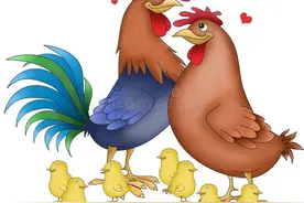 有言有味说单词（六百三十讲）动物雌雄“对对碰”图片