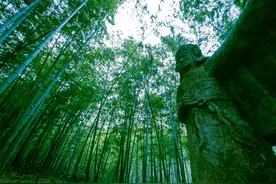 守卫皇陵的将军们——探访明朝开国两功臣墓图片