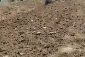 随着微耕机的普及，一个不容忽视的问题出现了，必须引起高度重视图片