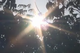 实拍！高温下，盐都街头发生的感人画面图片