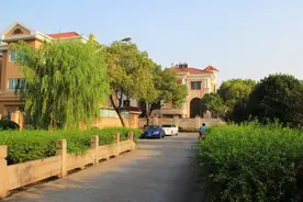 浙江最富有的农村：家家住别墅，还给村民发金银条图片