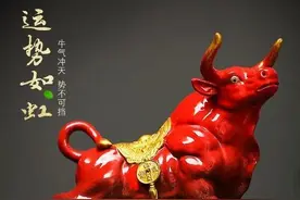 北交所首批新股申购指南图片