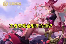 王者荣耀全射手英雄冷知识，被忽视的技能效果，你知道多少？图片