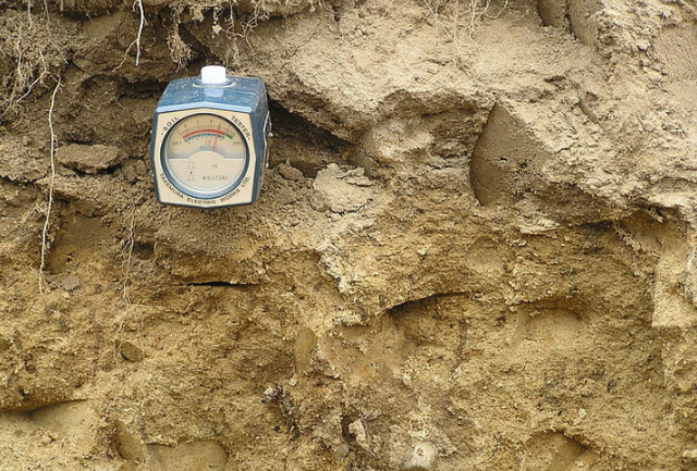花粉多糖和氨基酸肥哪个才是作物促根首选？听听专家怎么说