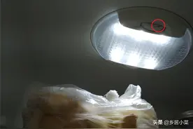 天气太热种植蒜瓣难发芽？事先泡水处理，冰箱冷藏催芽，调节温度图片