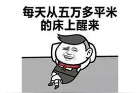 宝可梦最贵卡牌诞生？按克算比黄金还贵2000倍，能买北京半套房图片