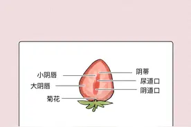 两性知识科普：你所不知道的阴道知识图片