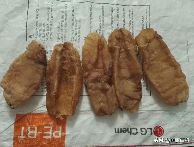 20头鱼胶大概多少钱一斤 20头的鱼胶一般多少钱